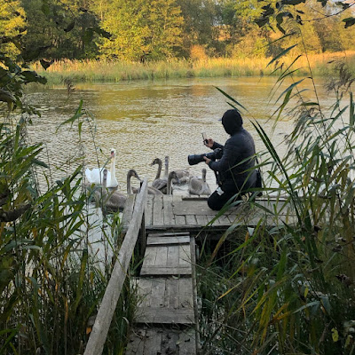 swan_aaaminsk