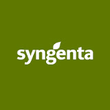 Syngenta Egypt