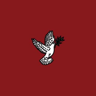 Tayam Amar • تيّام قمر