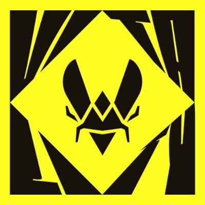 Team Vitality 🐝