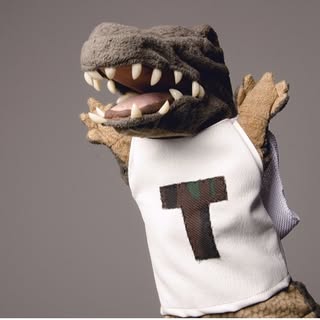 temsa7ly