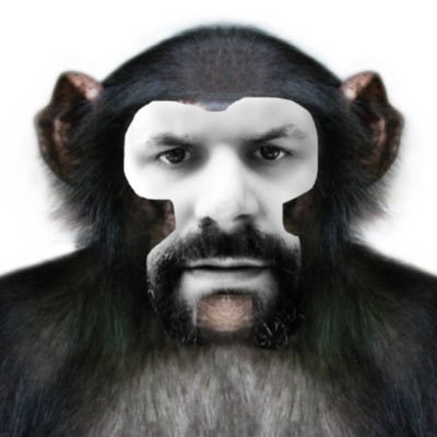 Dr. Kek