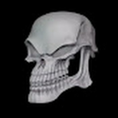 THE_SKELETOR