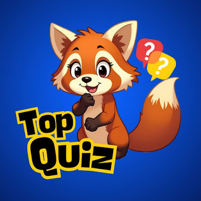 Top Quiz: Curiosidades y Retos Mentales