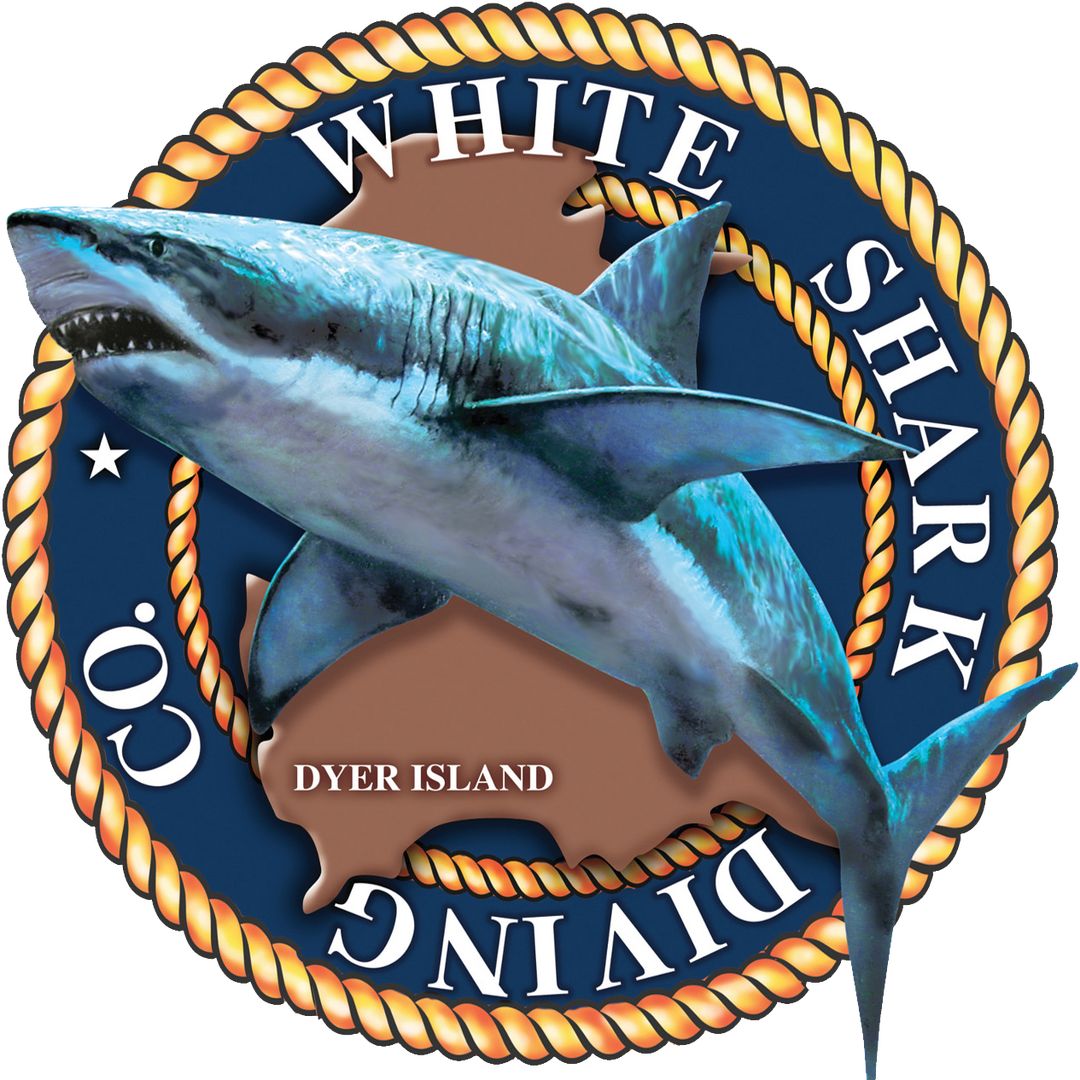 Whitesharkco