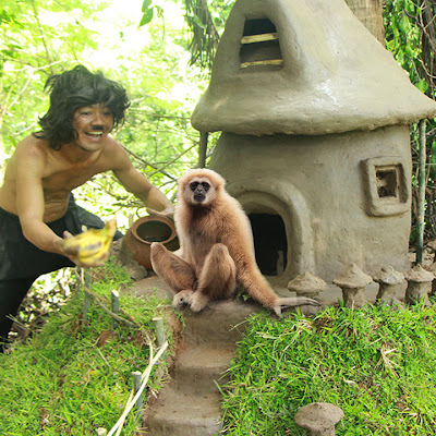 Wilderness Show