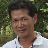 Yimnoi yimyai