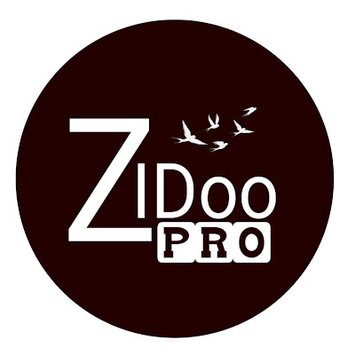 ZAIDoo pro