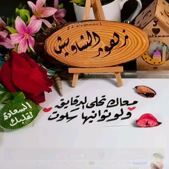 زهور الشاويش 🫶🏻