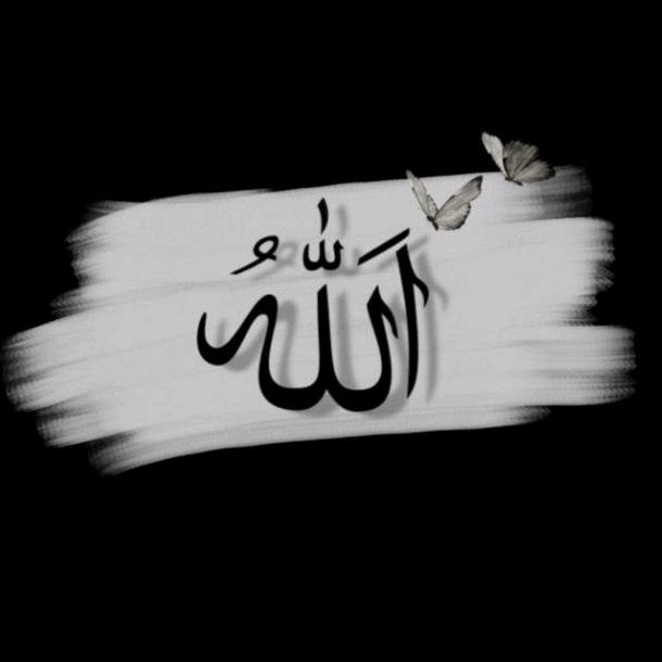 اویـــــس رائـٹس🖋