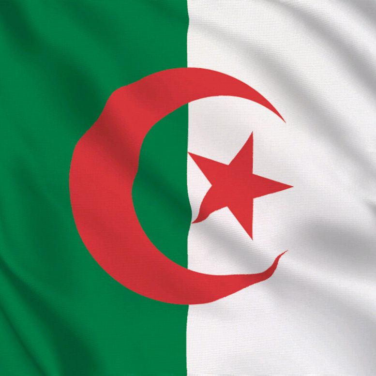 DZ Music 🇩🇿