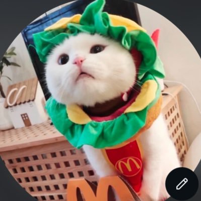 ૮꒰˵• ﻌ •˵꒱ა