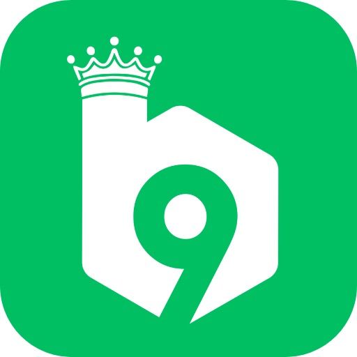B9 game official