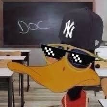Doc 🥇