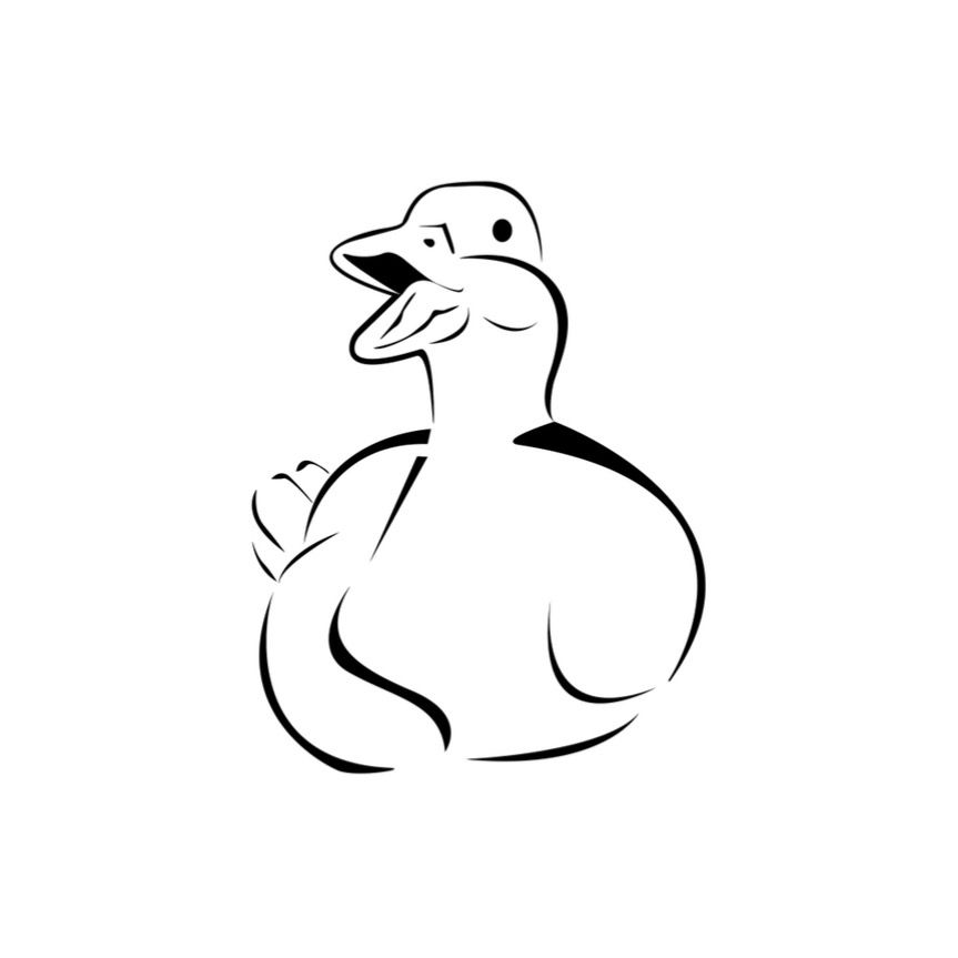 Backyardducks