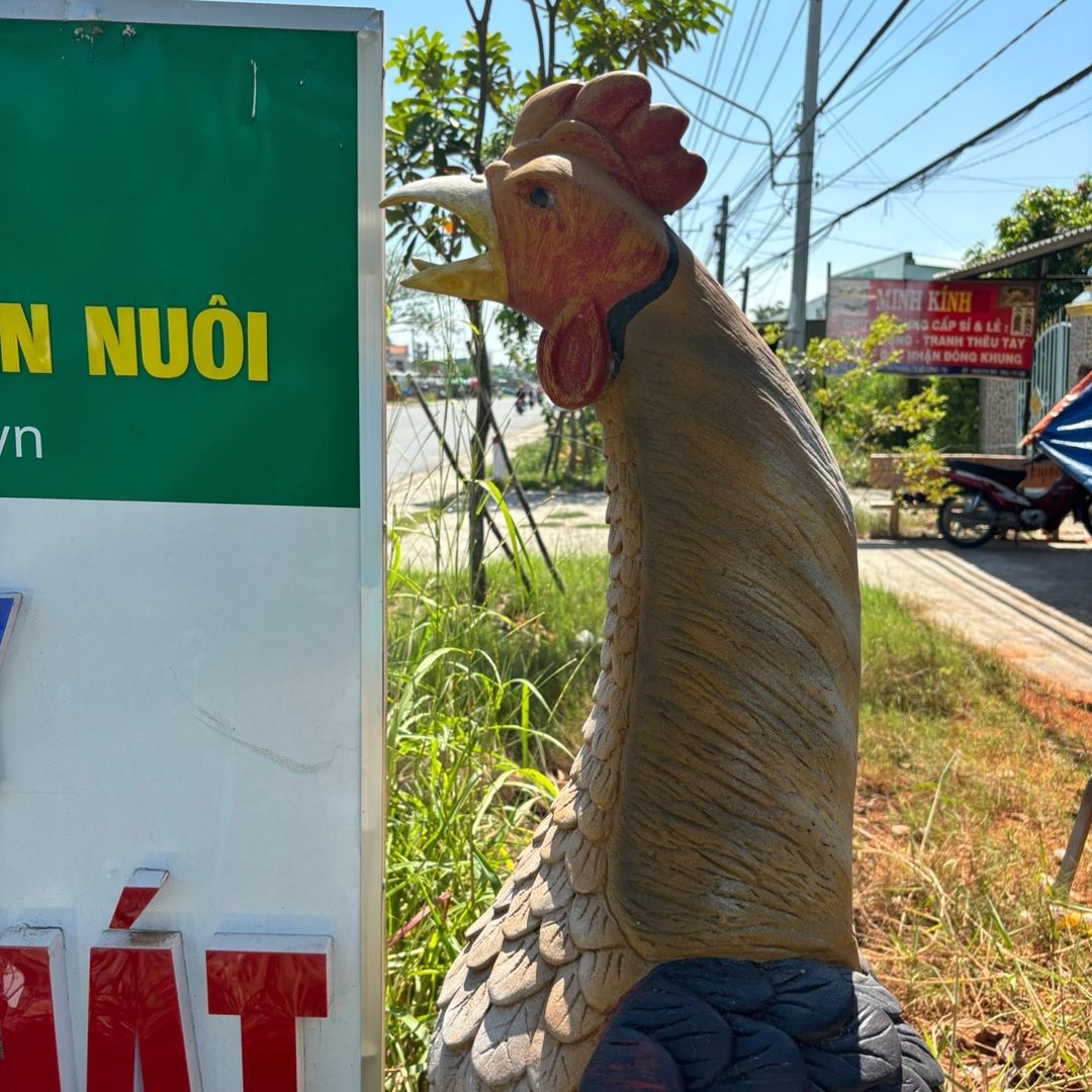 Bác Sĩ Gà Dr.Rin