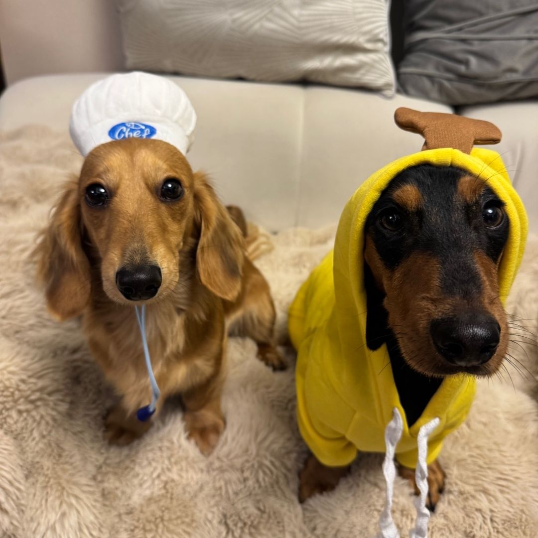 Bagel&Luna