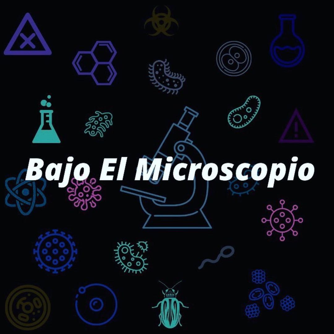 Bajo El Microscopio