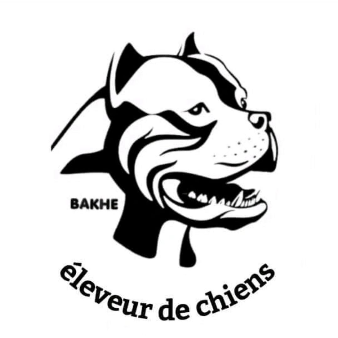Bakh (éleveur de chien)