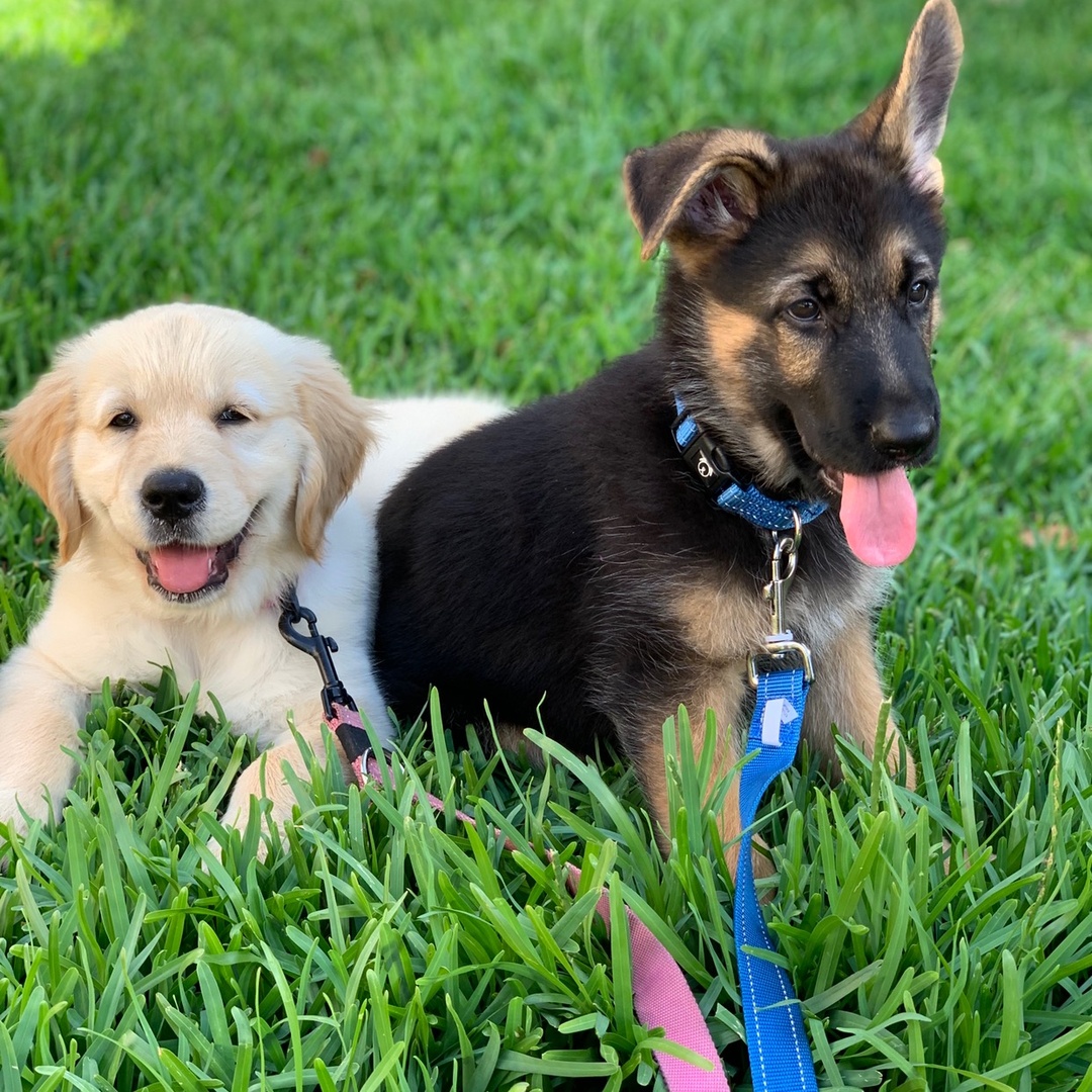 bambi_and_mochi