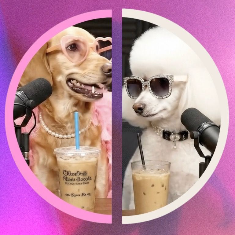 🐩Bark After Dark Podcast🦮