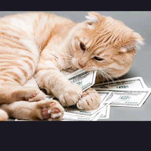 Health tips______369