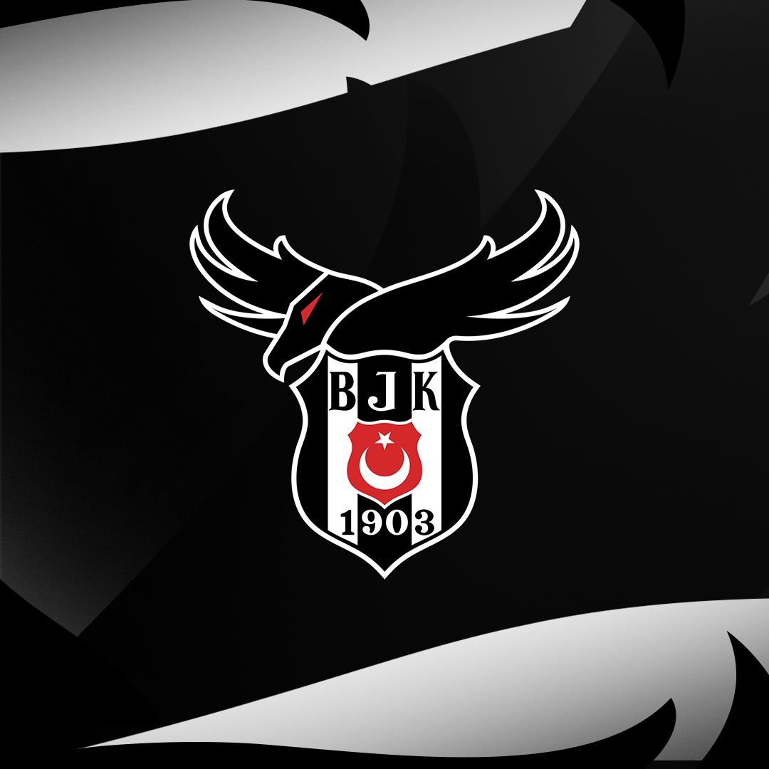 Beşiktaş Esports