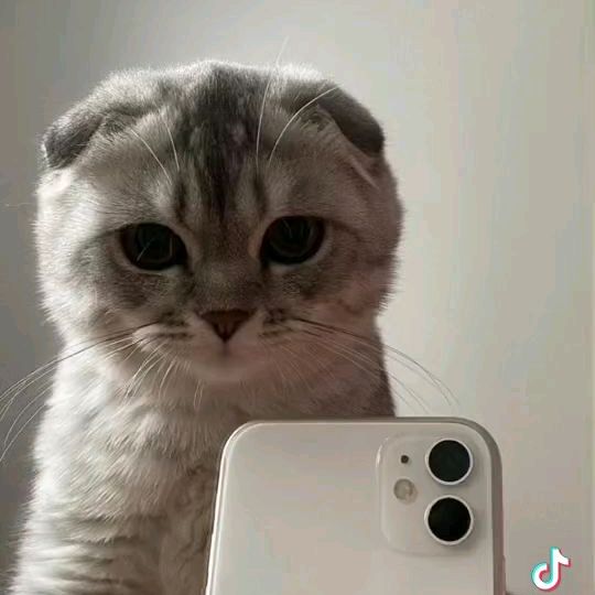 лп...<3