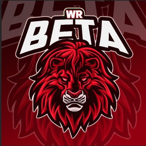 𝑩𝒆𝒕𝒂 𝒘𝒓 🇫🇷