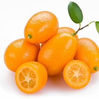 BIBIT BUAH BERKUALITAS 💯