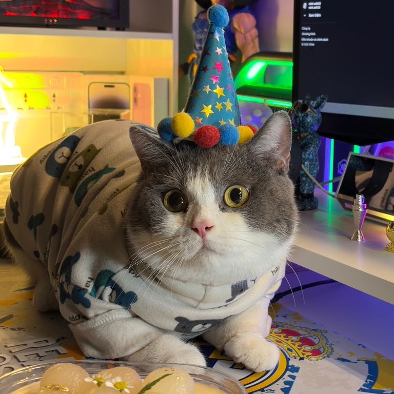 Boo Thúi (｡◕‿◕｡)╱