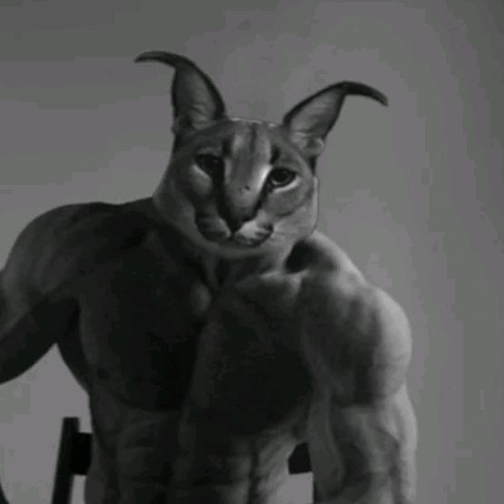 Bill