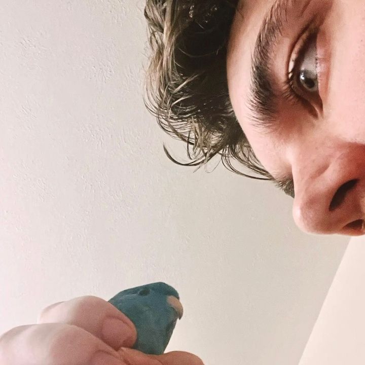 Bird and Beard