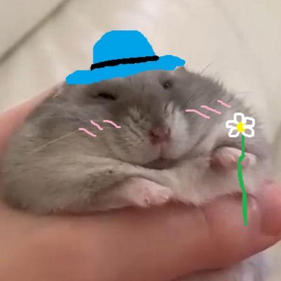 biscuitmyhamster