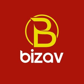 Bizav Media