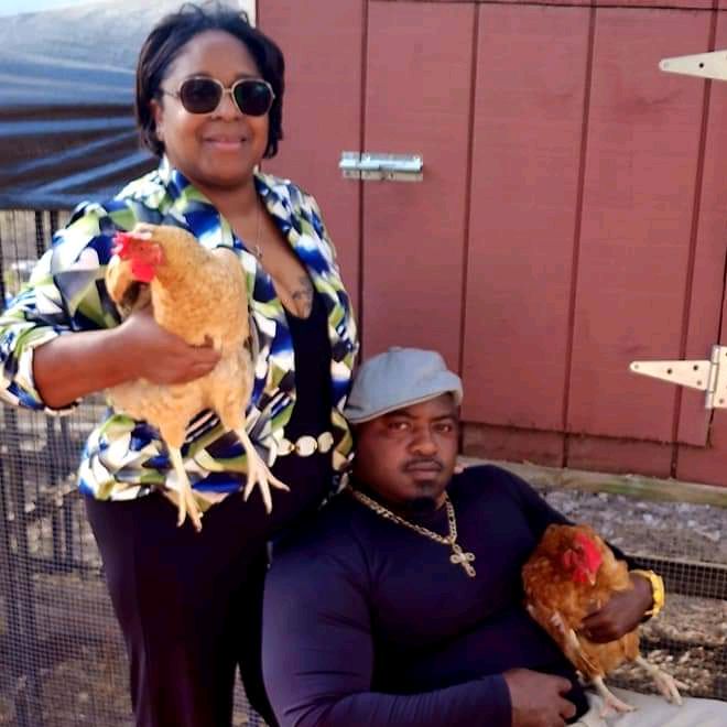 Black's Tropical Homestead