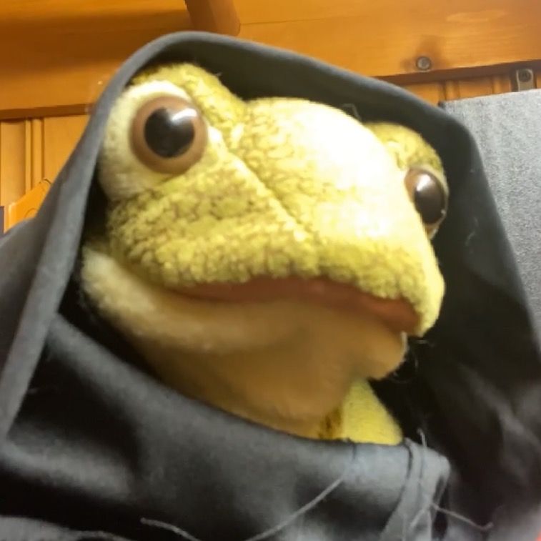 Boomer Frog