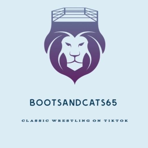 Boot and cats