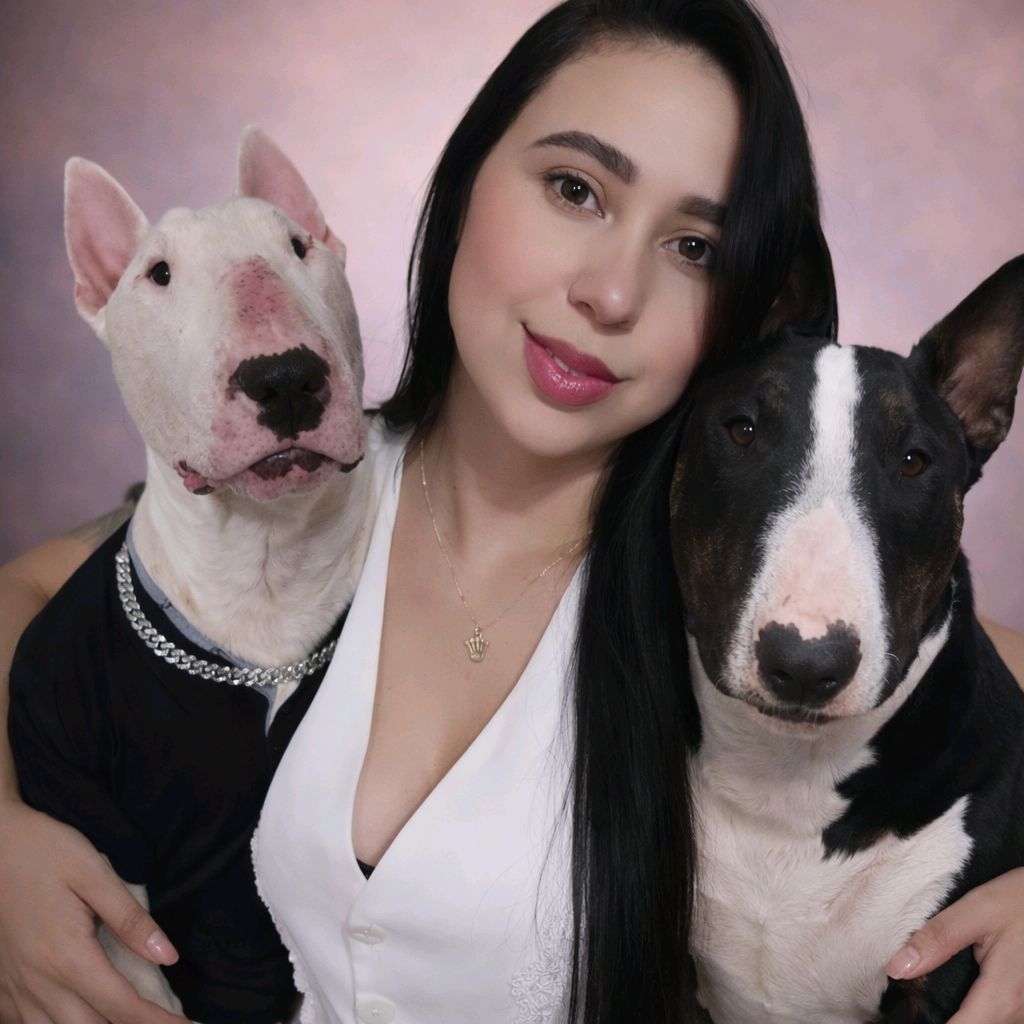 ♡Aɳɠιҽ & 𝘿𝙤𝙨 Bull Terrier♡