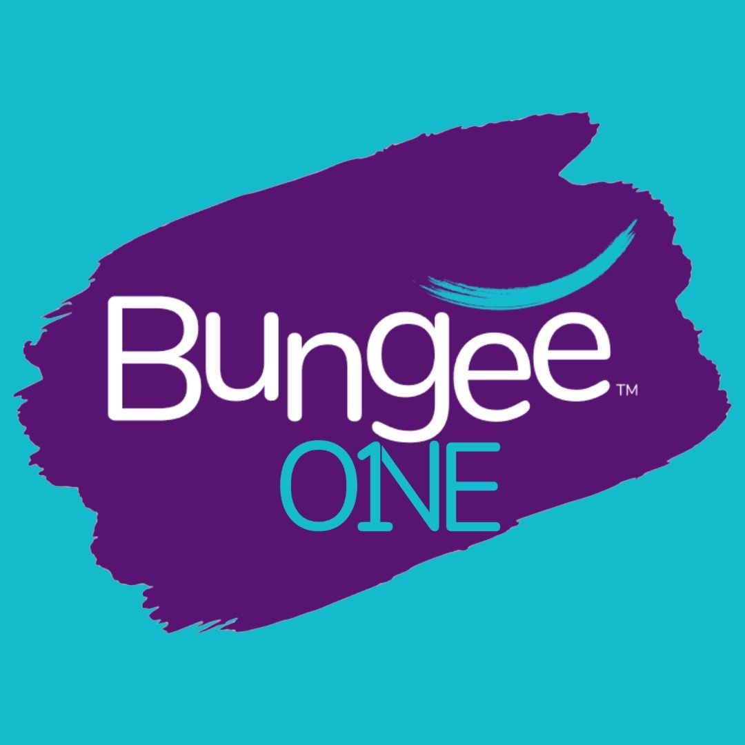 BungeeONE Franchise