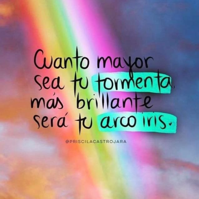 @camutun1