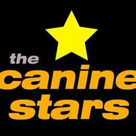 Canine Stars ⭐ Stunt Dog Show