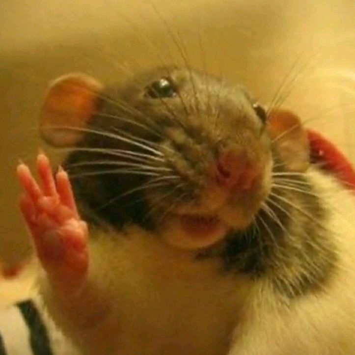 💍РАЗНЫЕ ТЕМЫ💗