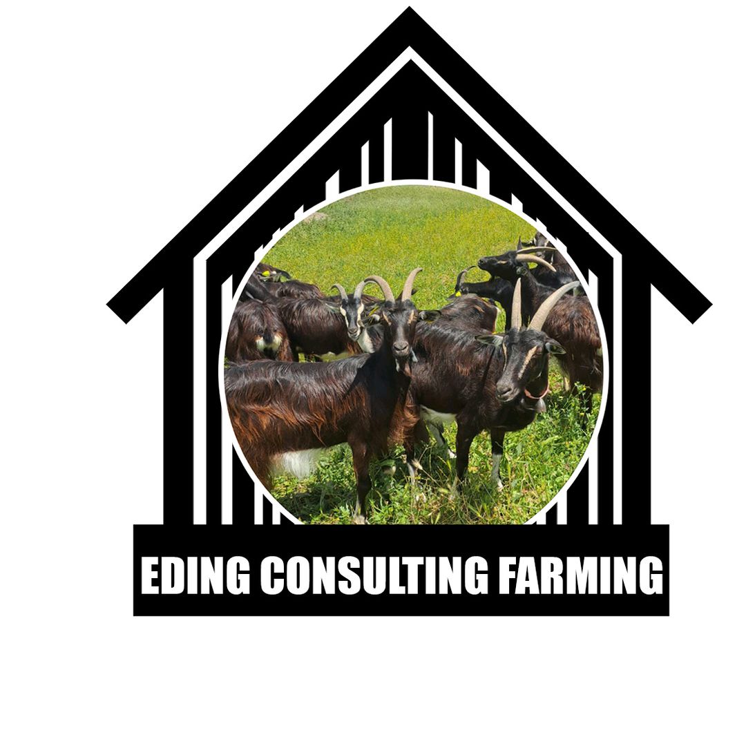 Edingᴹᵒⁿʳᵒʸ ᵃᵍ