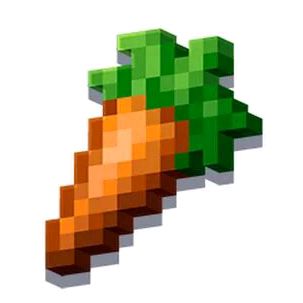 carrot_main
