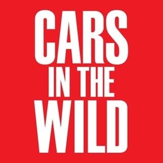 CARS IN THE WILD