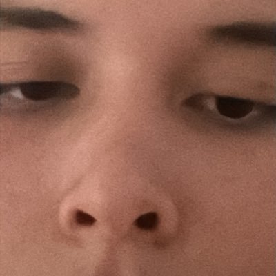 juridico da lolaland