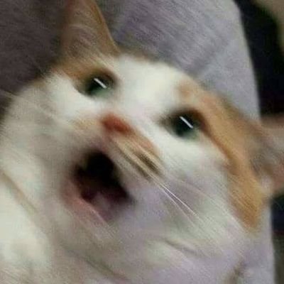 contents that ll heal your depression 🌻