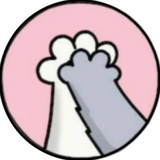 Cute Cats • Kittens ✨