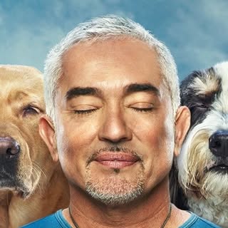 Cesar Millan